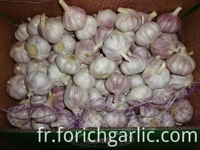 Normal White Garlic Of Crop 2019